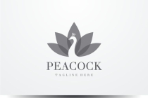 Peacock  Logo Screenshot 2